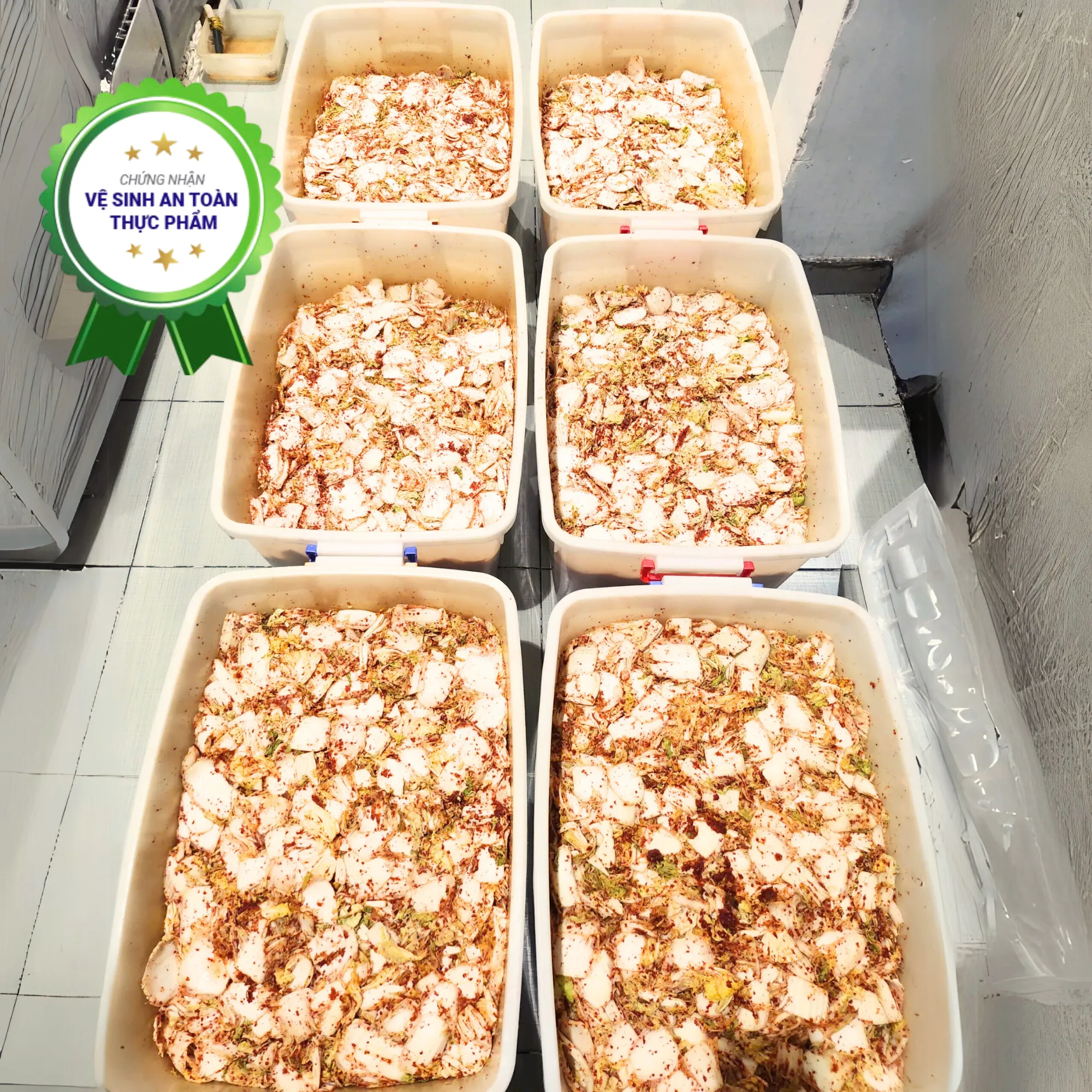 KimChi catuong_5_11zon