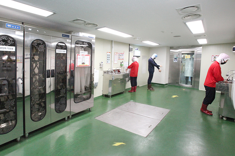 quy trình sản xuất kim chi