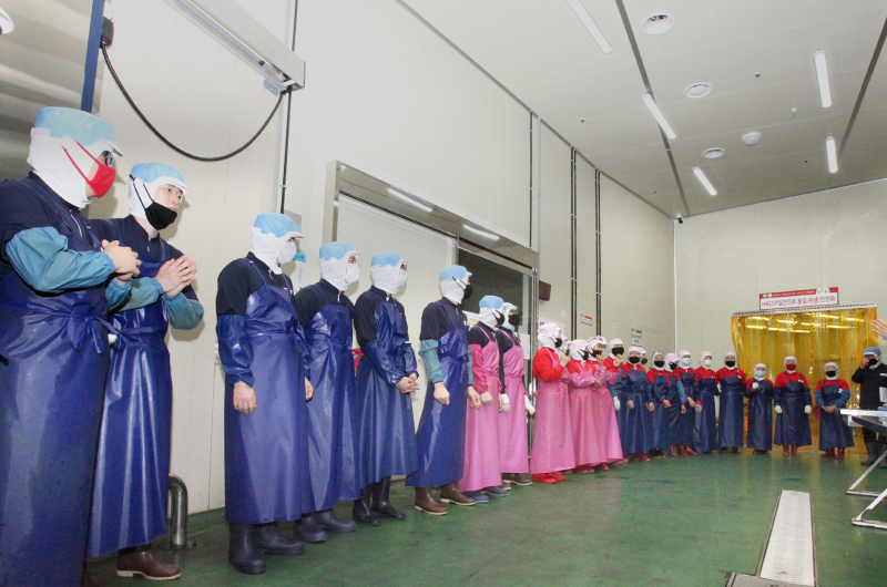 quy trình sản xuất kim chi