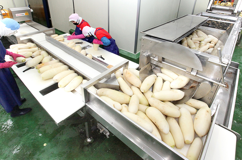 quy trình sản xuất kim chi