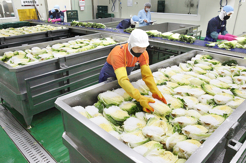 quy trình sản xuất kim chi