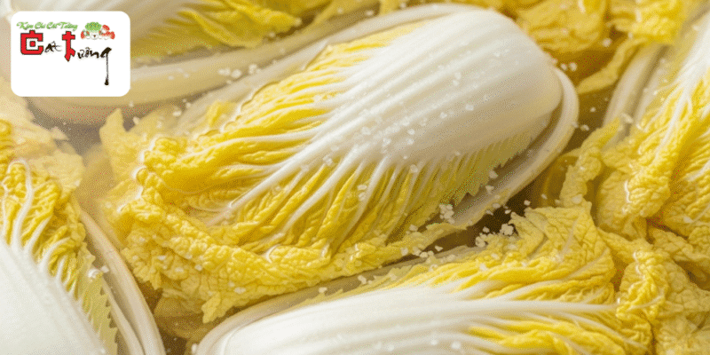 Muối Kim Chi Cải Thảo